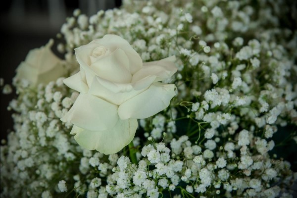 New Lux Event Centar